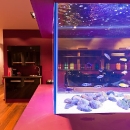 purple-room-aquarium-02