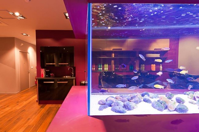 Aquarium Maintenance and Installation from Seefish Devon